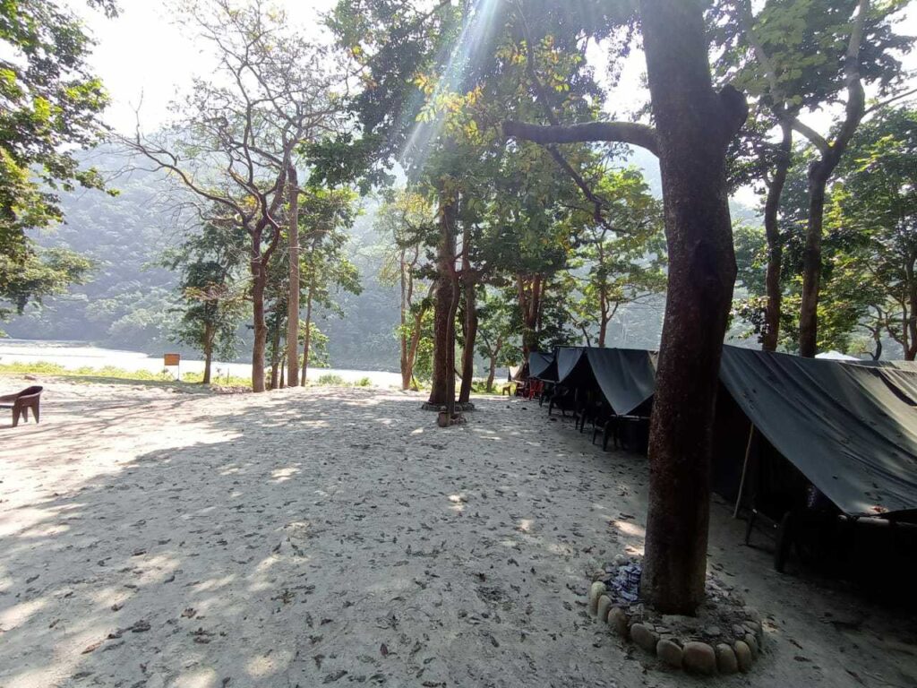 River side/ normal camps in rishikesh